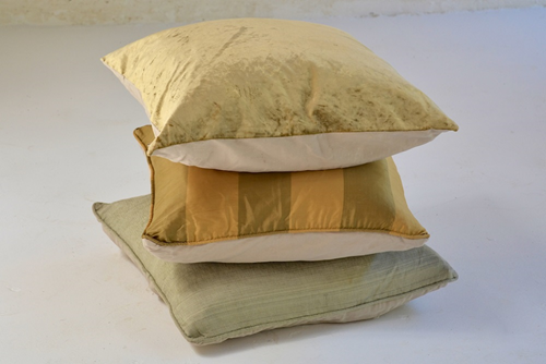 010 Golden Cushions